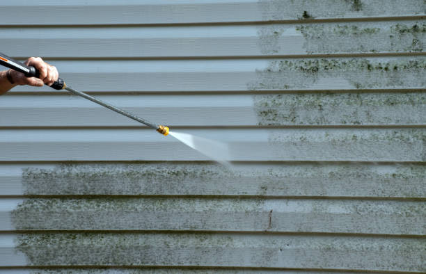 Best Mold Cleaning Services  in Hoback, WY