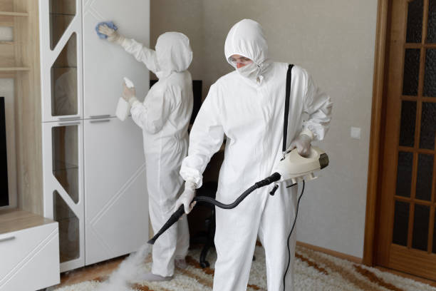 Best Toxic Mold Removal  in Hoback, WY