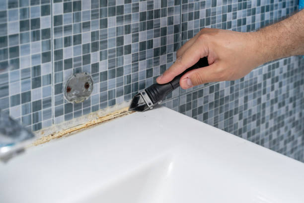 Best Mold Removal Specialists  in Hoback, WY